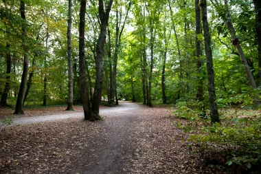 Parc de Cazalet de Pessac (2).